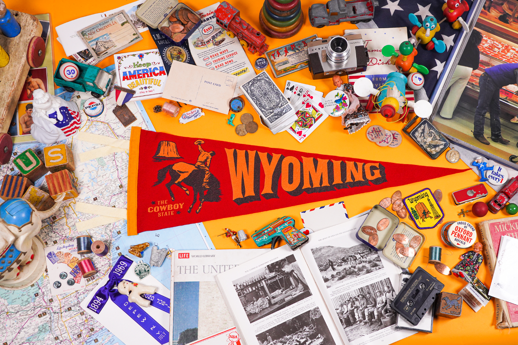 Oxford Pennant - Wholesale Flag - Wyoming Pennant1