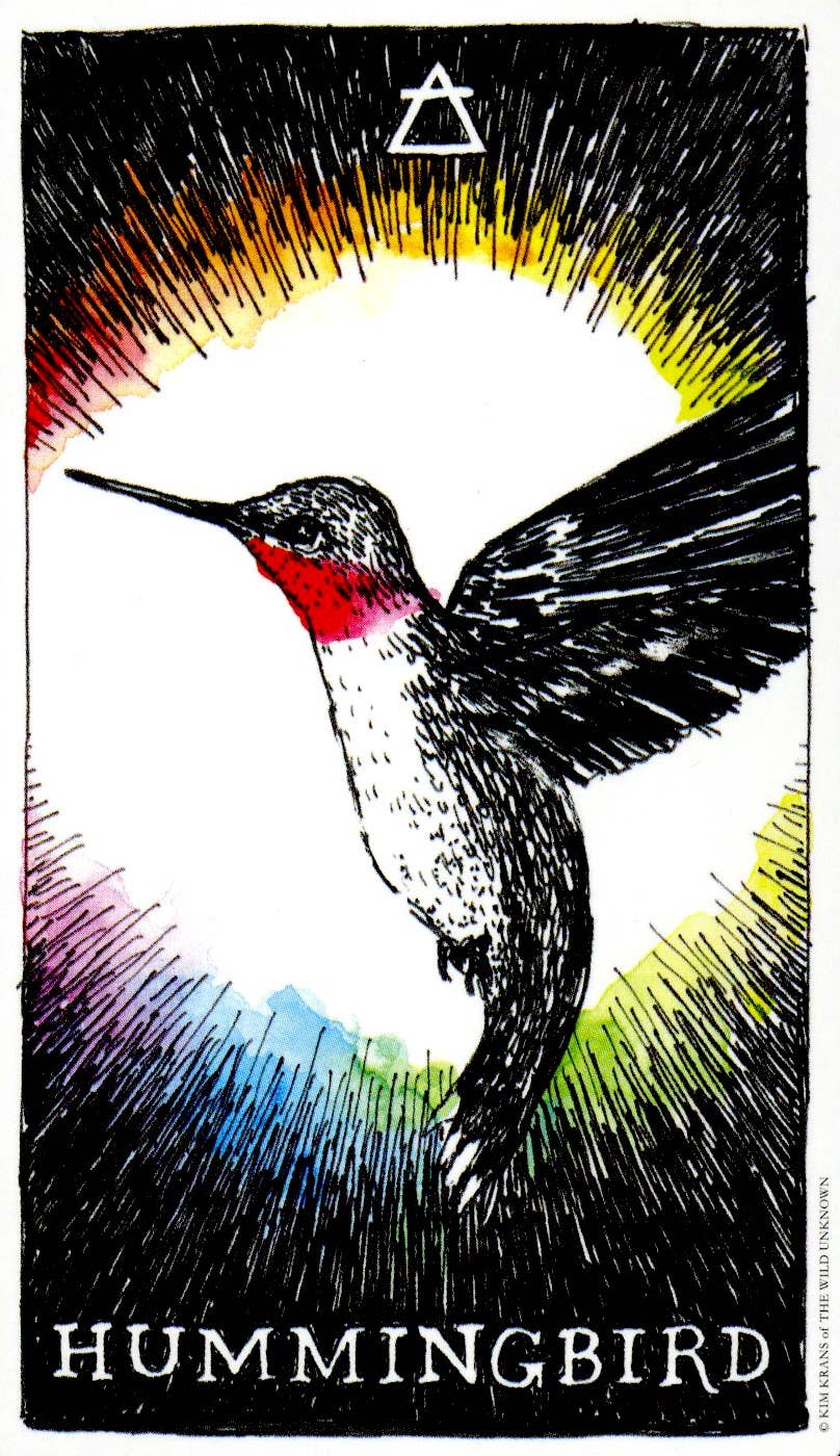 HarperCollins - Wholesale Tarot/Oracle Card - Wild Unknown Animal Spirit Deck and Guidebook4