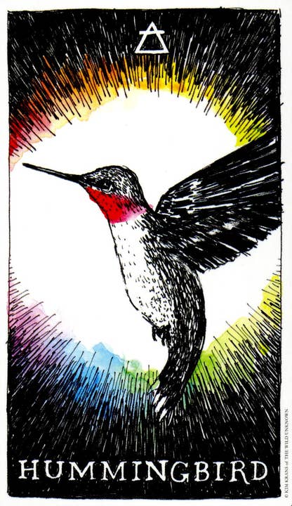 HarperCollins - Wholesale Tarot/Oracle Card - Wild Unknown Animal Spirit Deck and Guidebook4