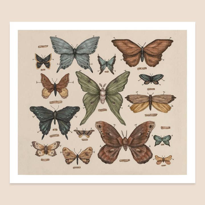 Jessica Roux Illustration - Wholesale Art Print - 10.5” x 9” Butterflies and Moths Print