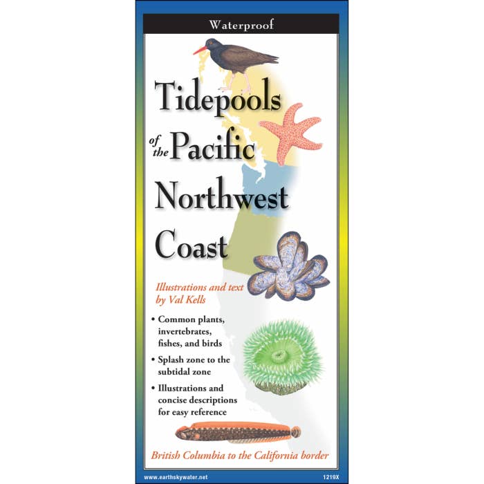 Tidepools of the Pacific Northwest Coast for wholesale by Earth Sky + Water