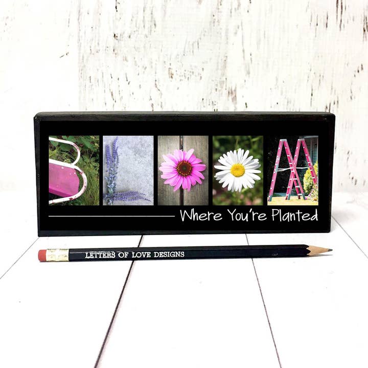 Bloom Sign, Bloom Where You're Planted, Flower Shop Gifts for wholesale by Letters Of Love Designs