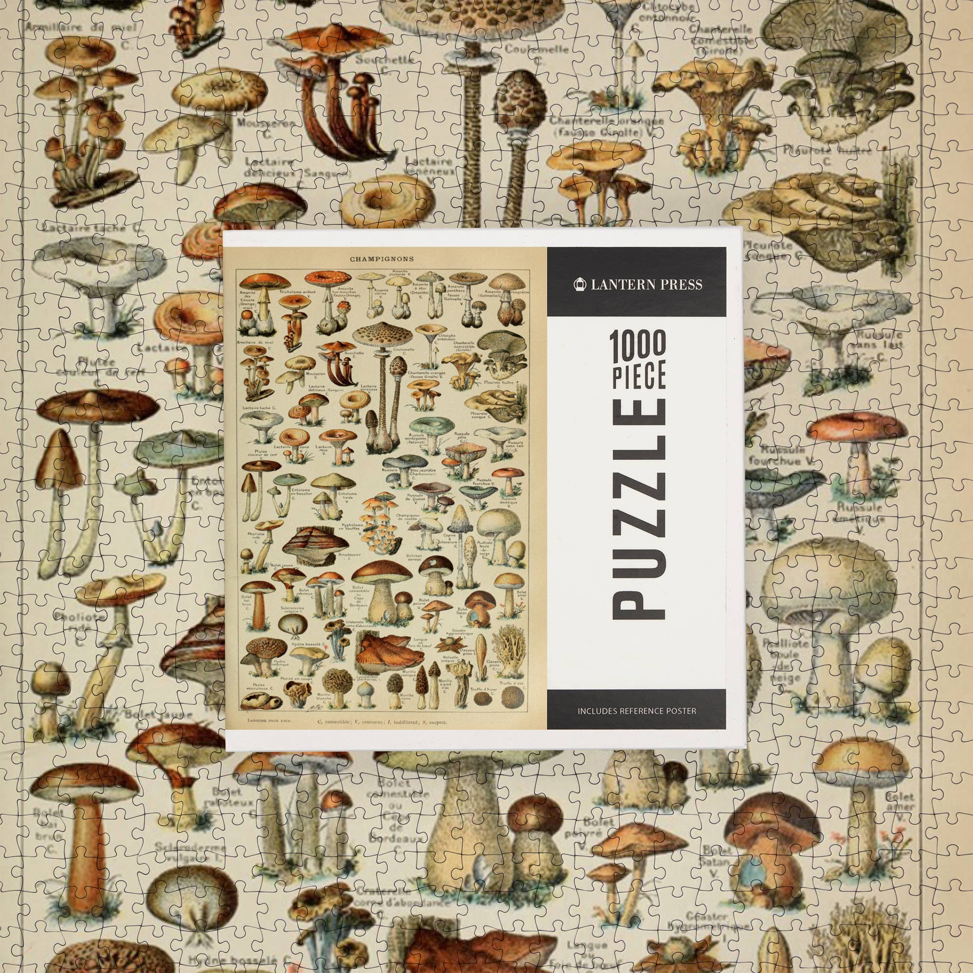 Lantern Press - Vendita all'ingrosso Puzzle - Adulti - Puzzle da 1000 pezzi, C, libris vintage, Adolph6