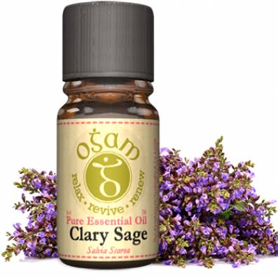 Sauge sclarée pour la vente par Ogam Oils
