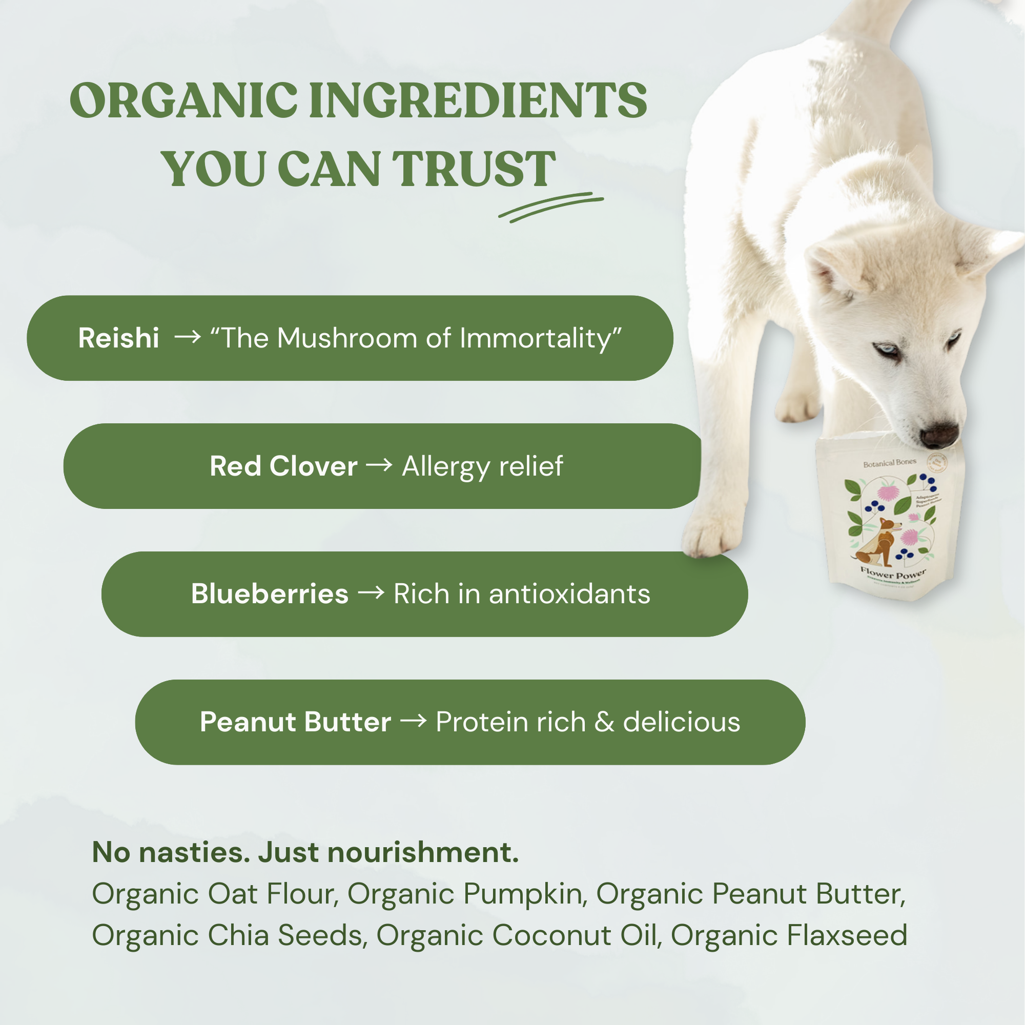 Botanical Bones – wholesale Godis - Hund – Flower Power-kakor – Naturliga, ekologiska hundgodisar4