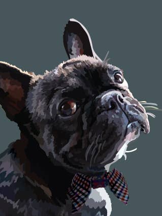 58C French Bulldog / Periodic Society / Greeting Card for wholesale by Periodic Society