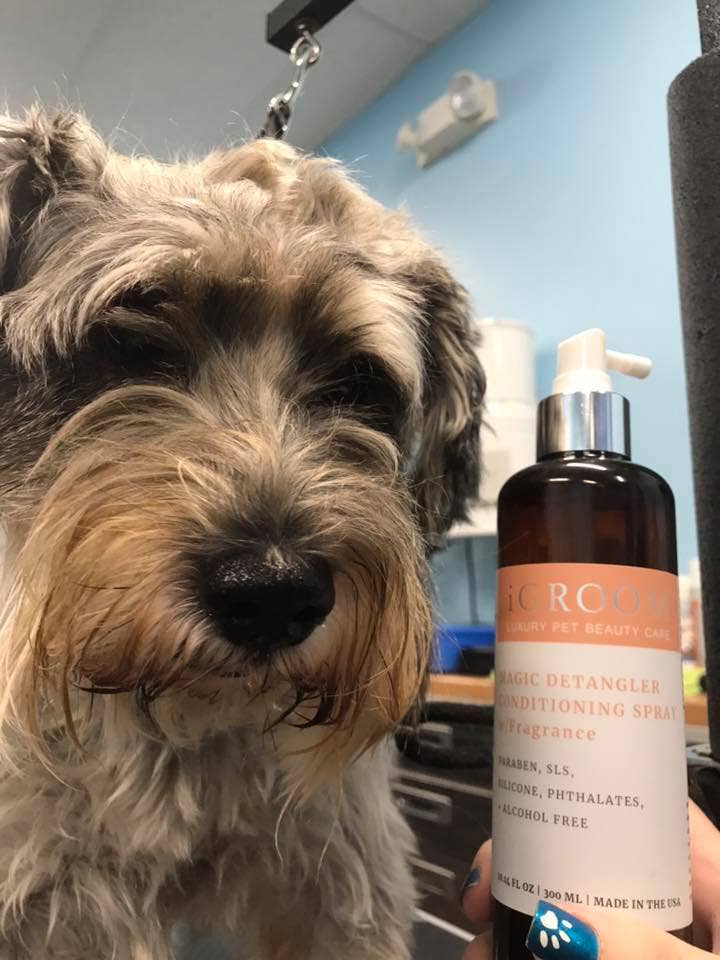 iGroom - Wholesale Pet Spray - Dog - Magic Detangler Conditioning Spray 8oz5