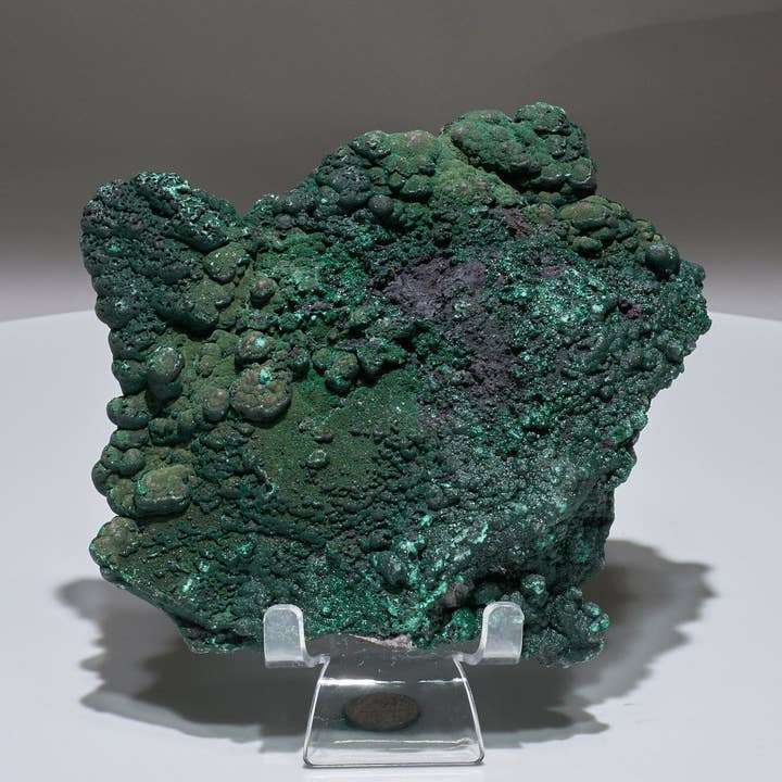 1.8 LB Botryoidal Malachite Crystallized Specimen for wholesale by Malachite And More