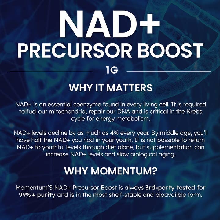 Momentum - Wholesale Protein/Superfood Powder - Longevity Protein Shake, Vanilla12