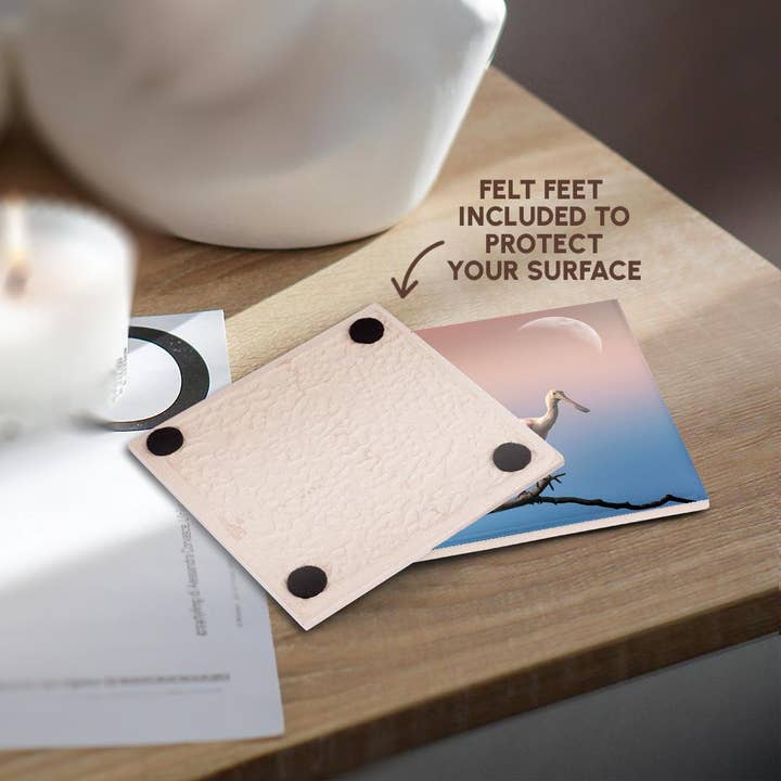 3dRose - Vente Sous-verre - 3dRose, Spatule sur l'arbre avec la lune, Dessous de verre3