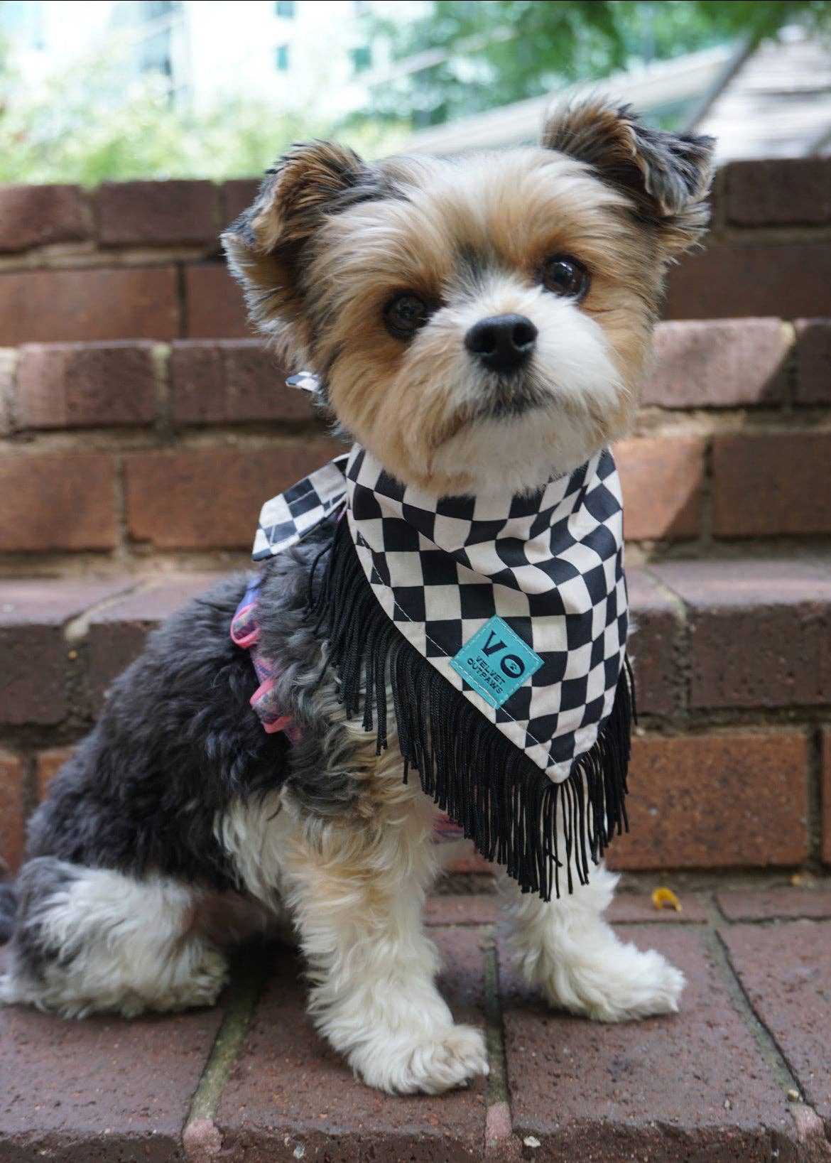 Velvet Outlaw - Wholesale Pet Bandana - Dog - Black & White Checker Dog Bandana with Fringe - Pet Accessories1