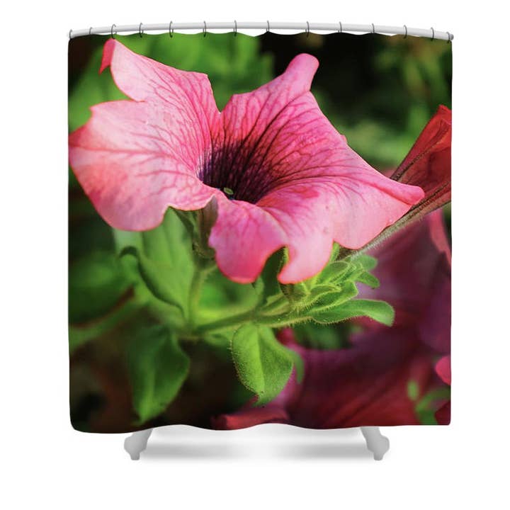 VINDARNA ROSA BLOMMOR PORTRÄTT DUSCHDRAPERI för wholesale av sorayadapuzzostore