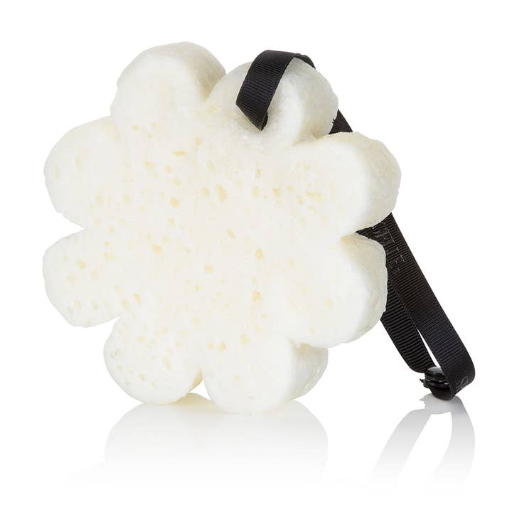 Spongellé - Wholesale Bath Pouf/Sponge - Blackberry Boxed Flower