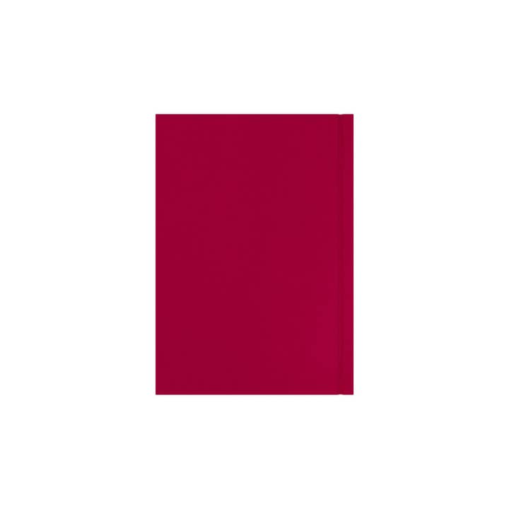 Collins Debden - Wholesale Planner - Essential - A5 Week-to-View Diary - 2026 Calendar Year Planner11