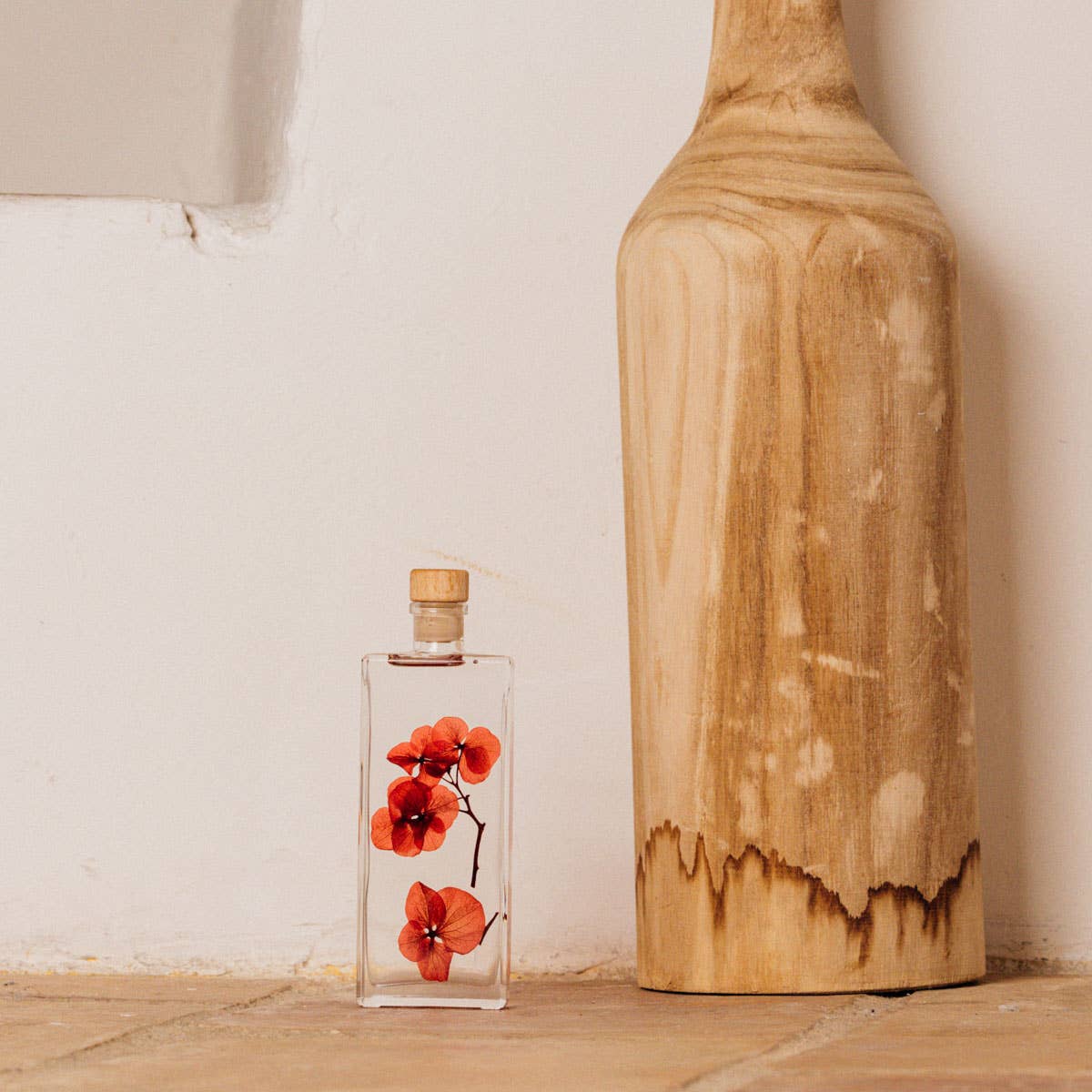 Theophile Berthon - Vente Plante - L'Herbarium Hortensia rouge Passion éternel8