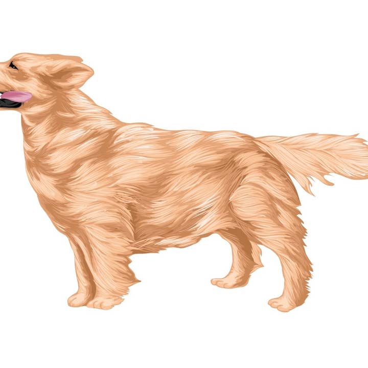 Golden Retriever-mærkat for engroshandel hos Cover-Alls Decals
