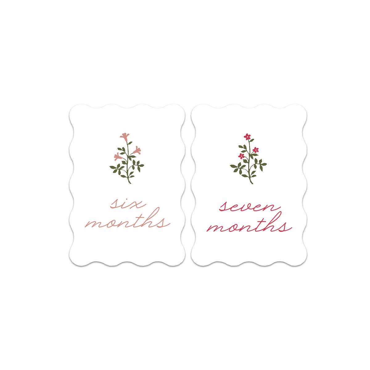 Lilypad Design Co. - Wholesale Milestone Art/Keepsake - Kids & Baby - Floral Milestone Cards2