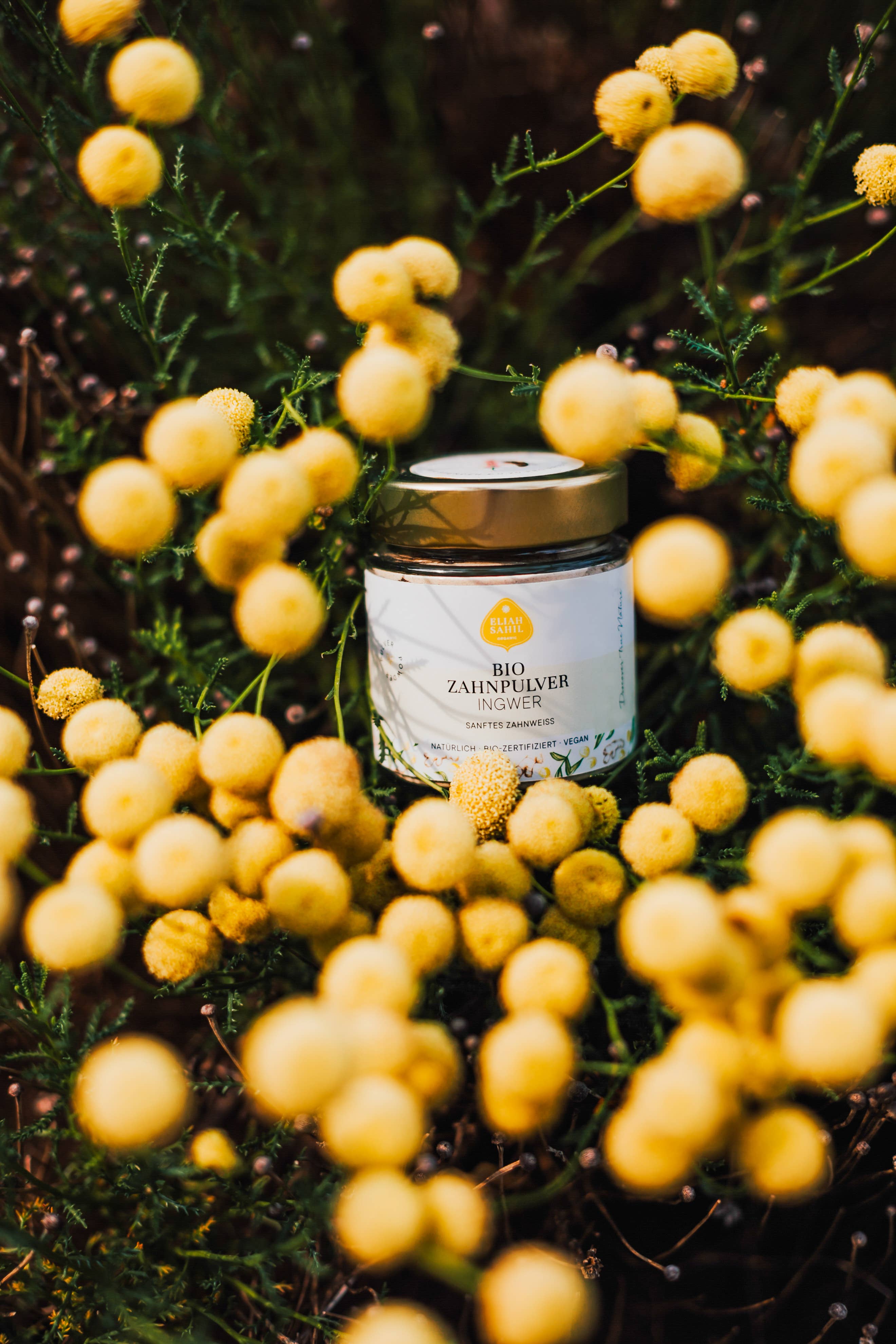 Eliah Sahil - Wholesale Teeth Whitener - Organic teeth whitening powder ginger3