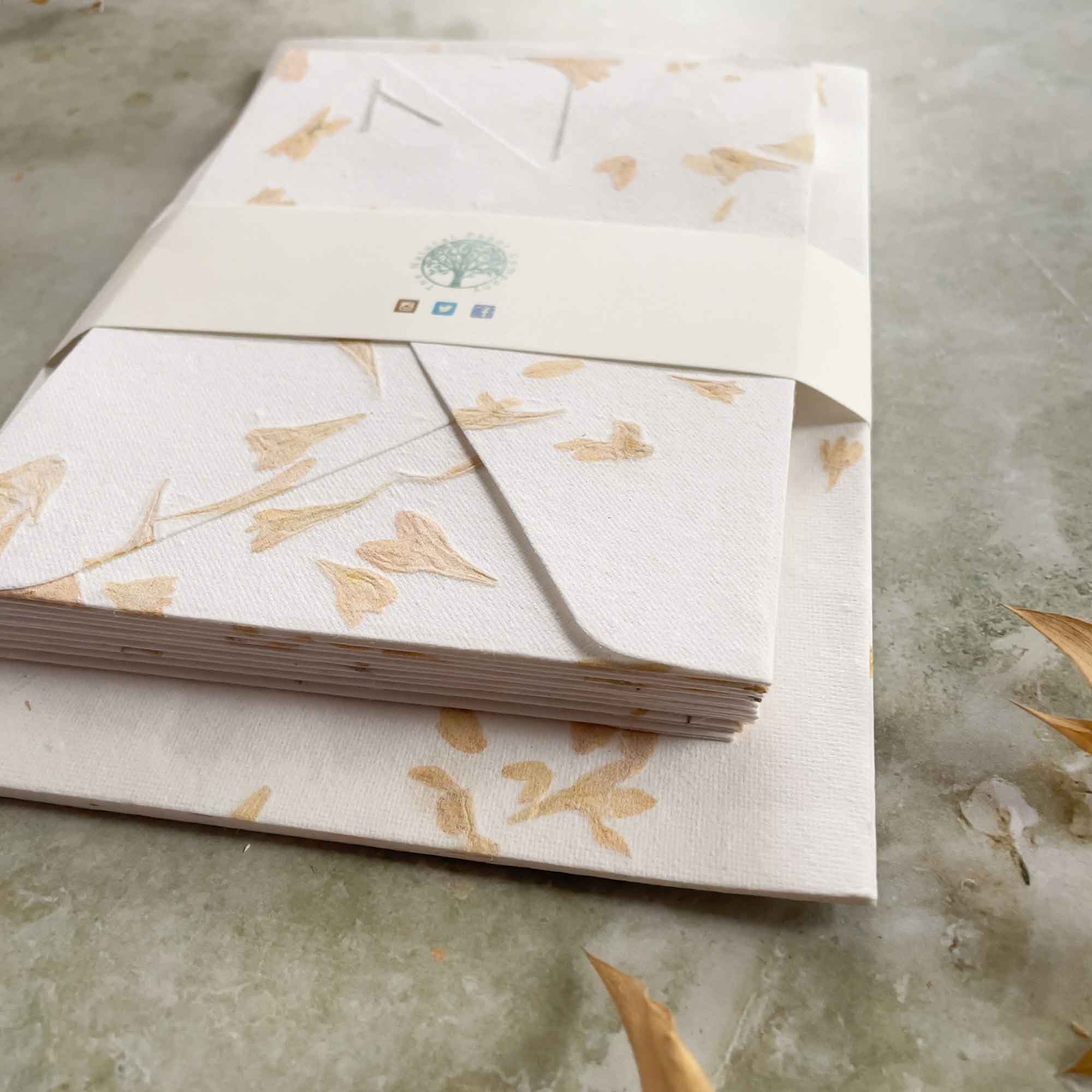 The Natural Paper Company – wholesale Stationery/notecard set – Gaillardia - Flower Handmade Paper and Envelopes | Recycled 5