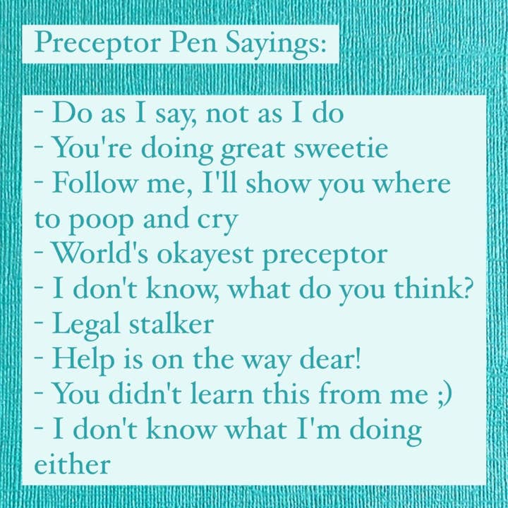 Snarkynurses - Wholesale Pen - Snarky Pens: Preceptor Pen Set - Set of 9 Pens1