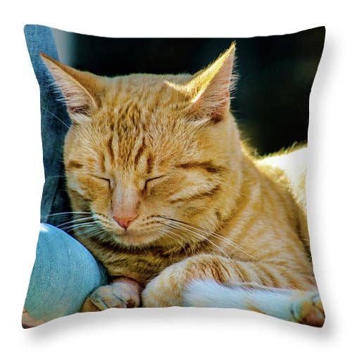 COUSSIN EN FORME DE CHAT ROUGE DU CALCATA pour la vente par sorayadapuzzostore