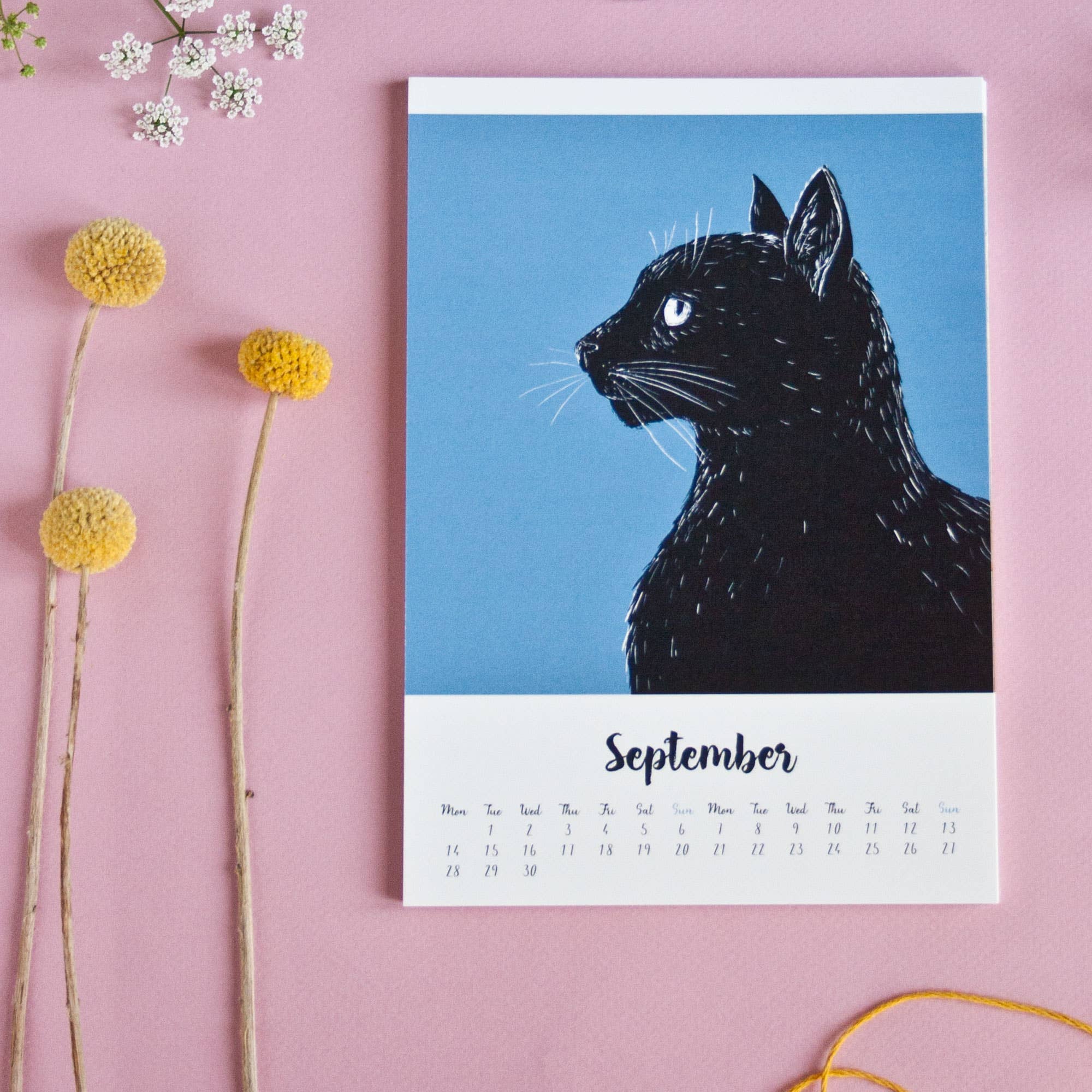 Katja Rub – Calendário por atacado – Calendário de Gatos 2026 no formato A5 (Calendário em inglês)3