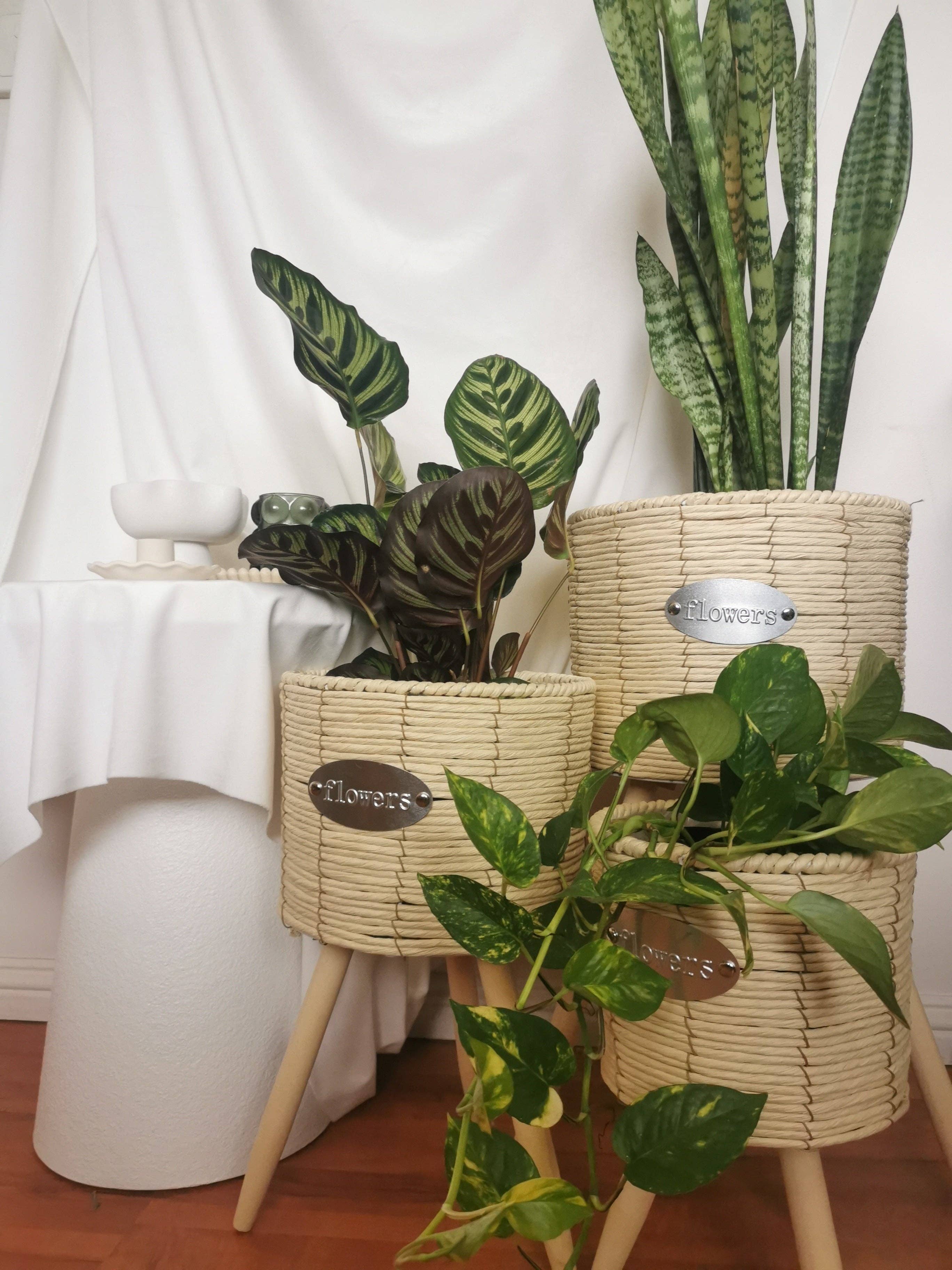 Casa Style – wholesale Plant pot – Cream Colour Footed Indoor Planter1