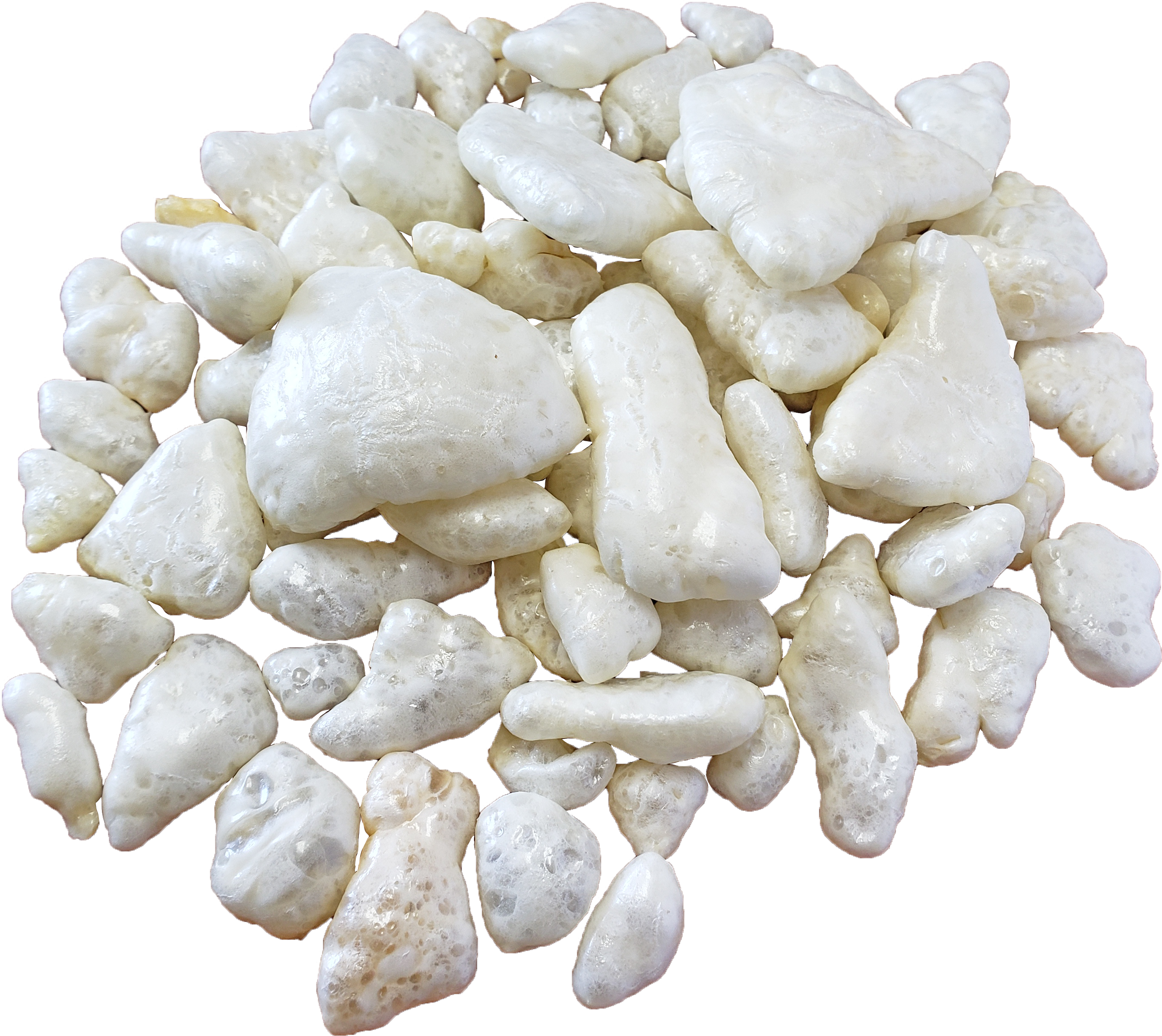 Himalayan Pet Supply - Vente Friandises – chien - Lot de 12 breloques Yaky6