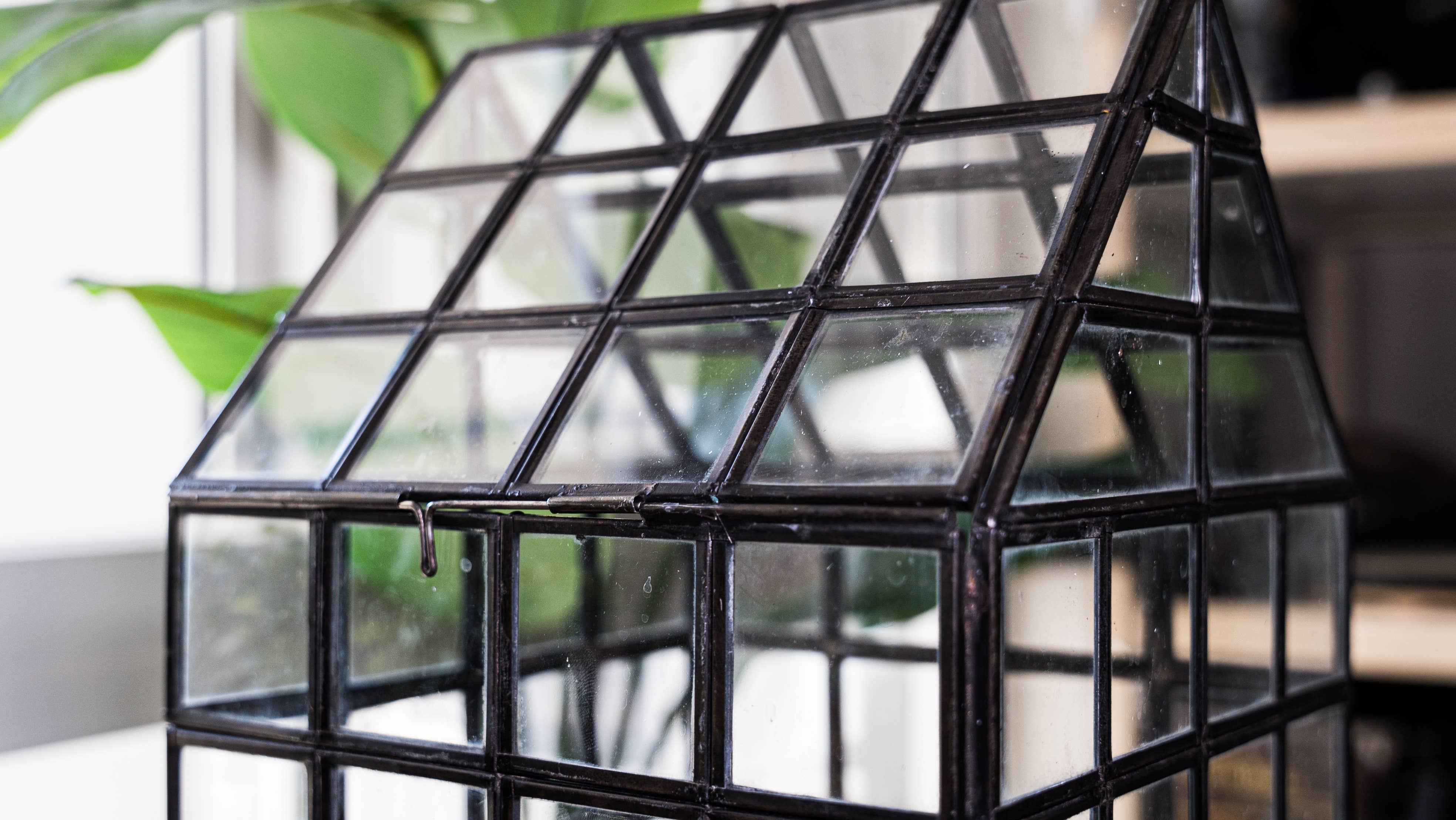 Urban Born - Wholesale Terrarium - Glass Terrarium Lattice, Large, 8x8x12"7