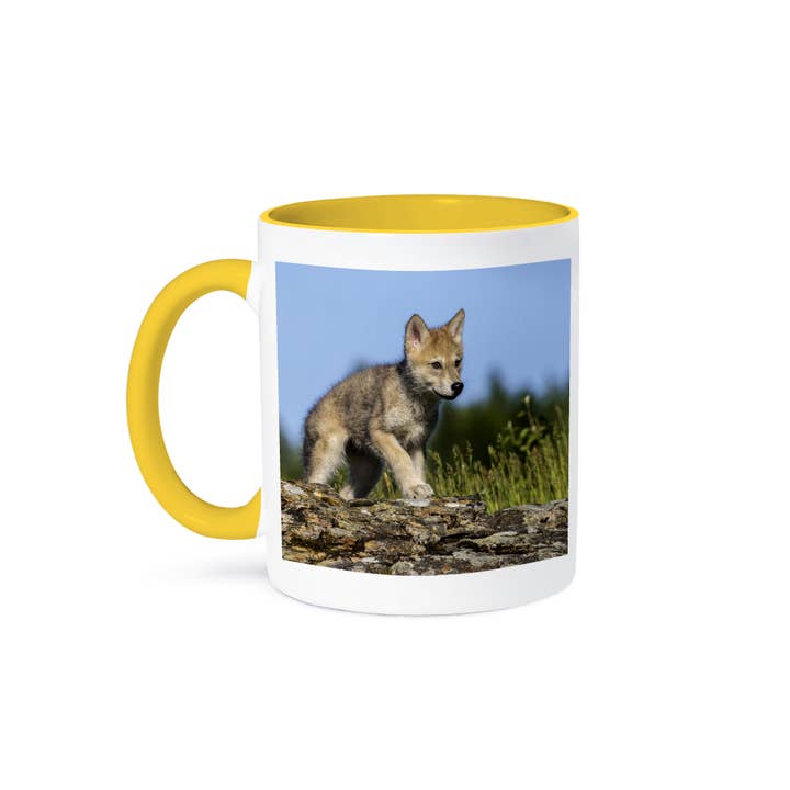 3dRose - Wholesale Coffee Mug - 3dRose, Wolf pup. , Mug
