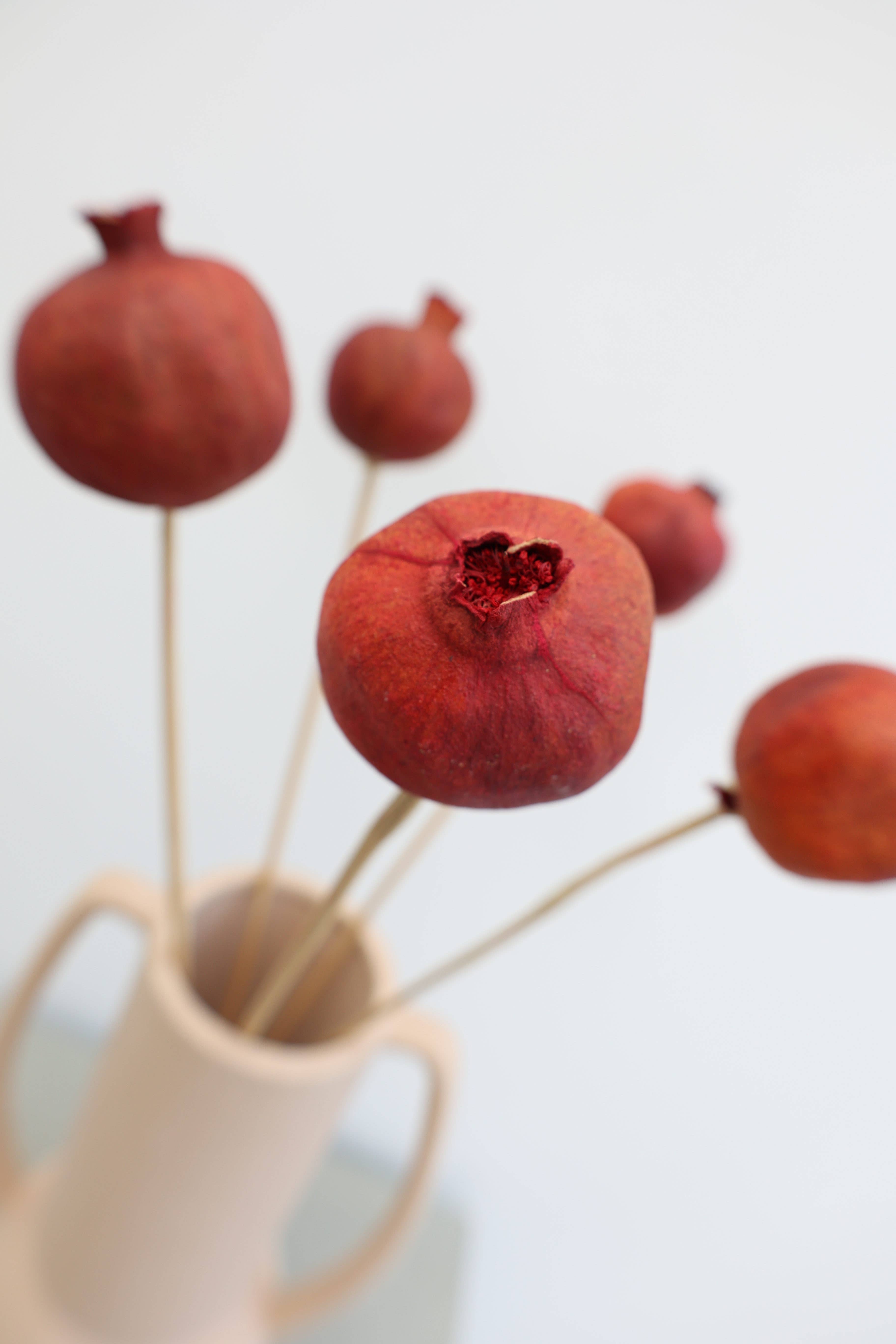 FlowerFantaSee - Wholesale Dried/Pressed Flowers - Dried Pomegranate Stems 7