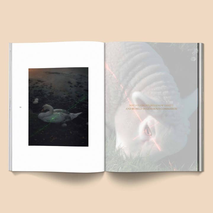 Broccoli - Wholesale Folklore & Mythology - Female Pentimento: Inner Nature Coffee Table Book4