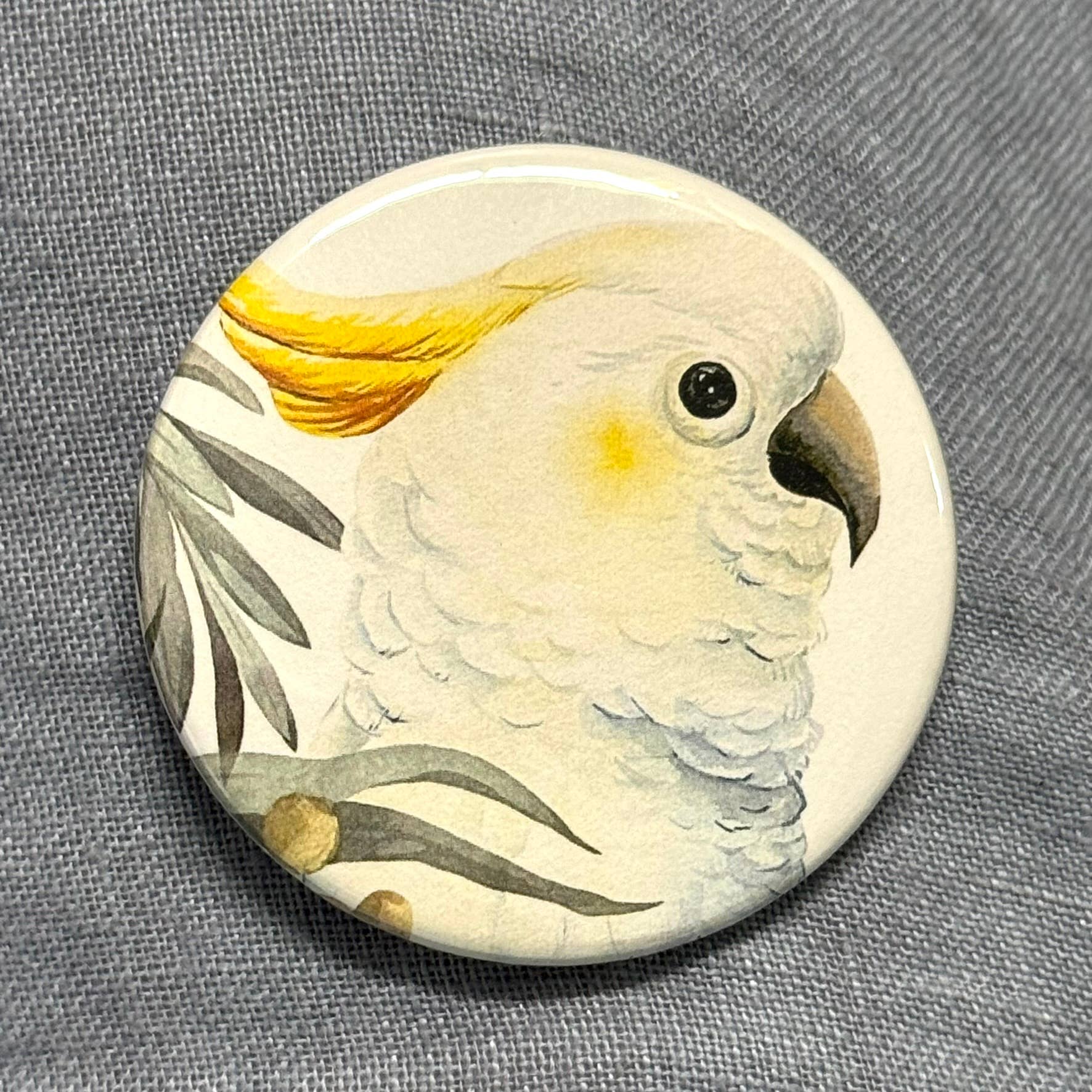 Scattered Seed Co - Wholesale Magnet - AUSTRALIAN BIRDS Large Magnets set of 45