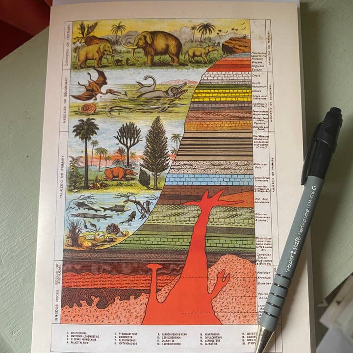 Geology Greetings Card for wholesale by Ninaskadesigns