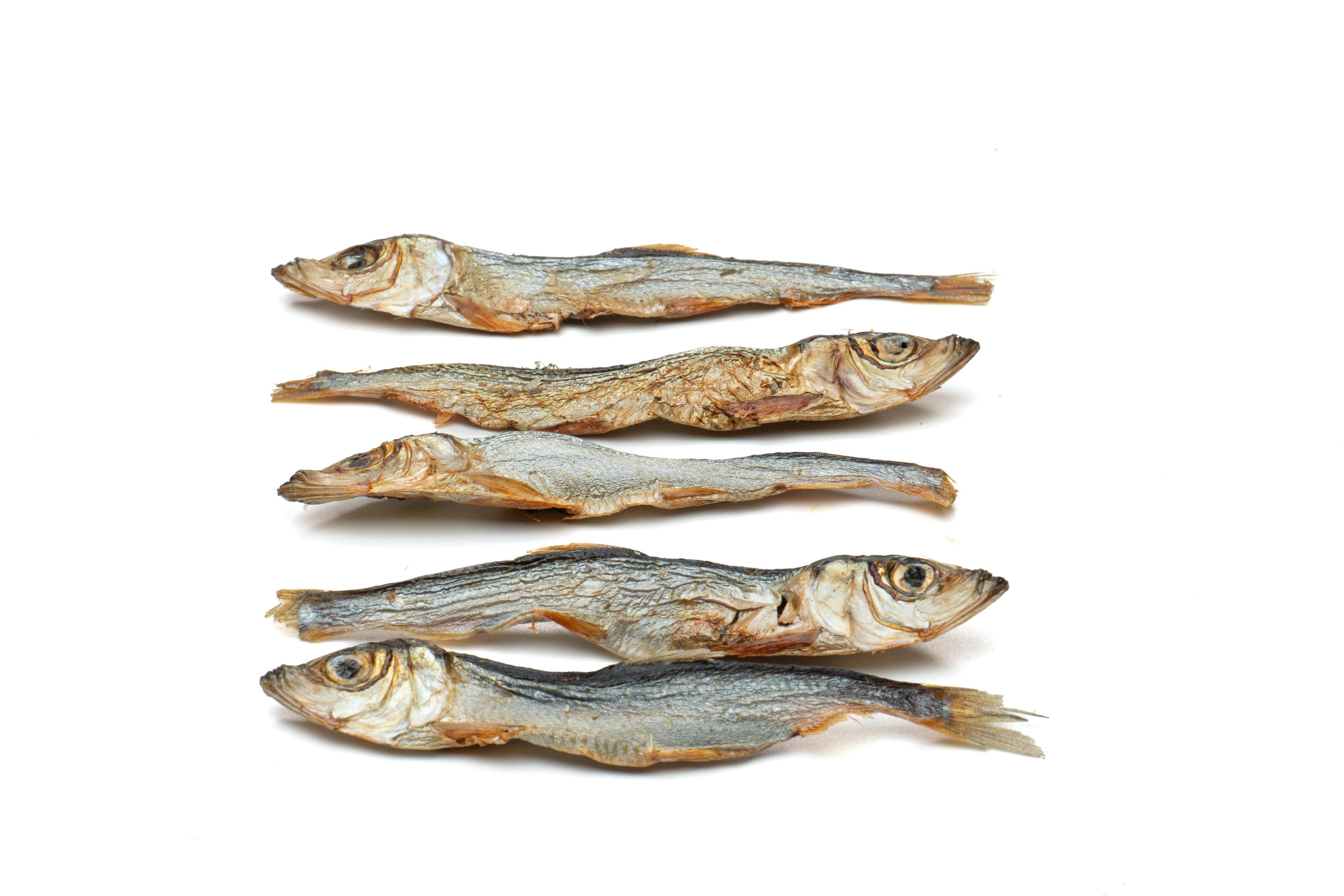 Eli Pet Products - Vente Friandises – chien - Friandises naturelles pour chiens : Harengs de la mer Baltique séchés 80 g1