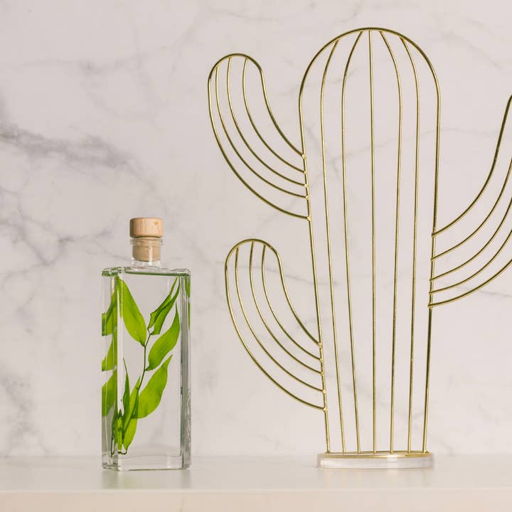 Theophile Berthon - Wholesale Live Plant - L'Herbarium Ruscus Italien light green - submerged plant