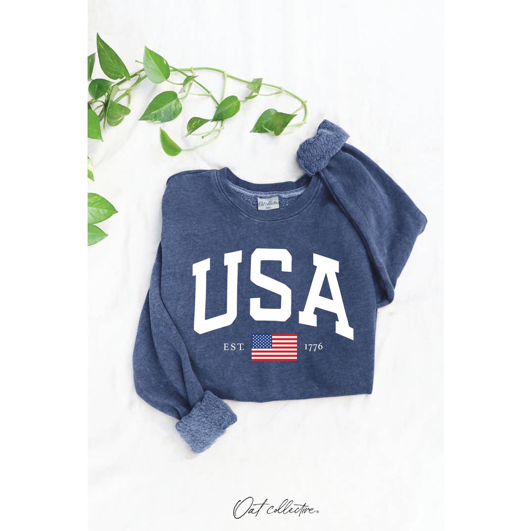 USA EST.1776 Mineral Graphic Sweatshirt for wholesale by OAT COLLECTIVE