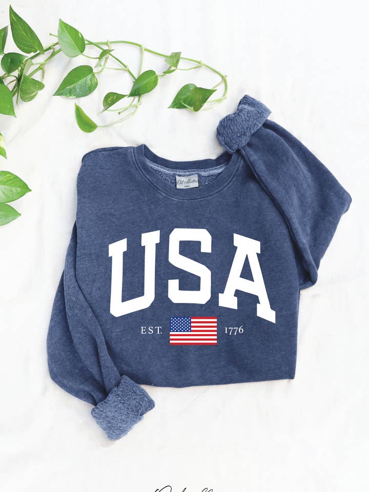 USA EST.1776 Mineral Graphic Sweatshirt for wholesale by OAT COLLECTIVE