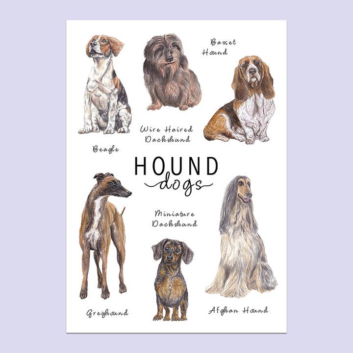 Hound Dogs A5 Print for wholesale by Lucy Locks Art