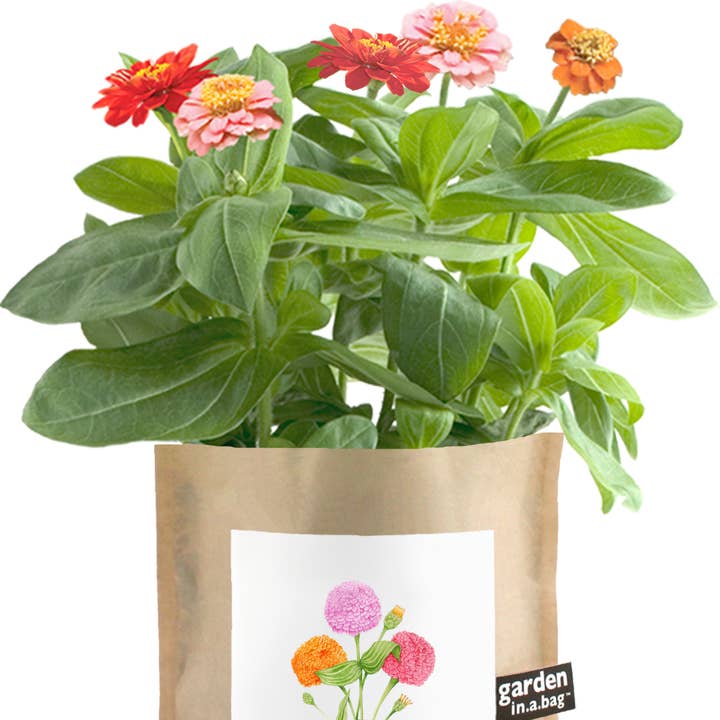 Potting Shed Creations, Ltd. - Wholesale Plant Seeds - Garden in a Bag | Mom | Mother's Day | Best Seller