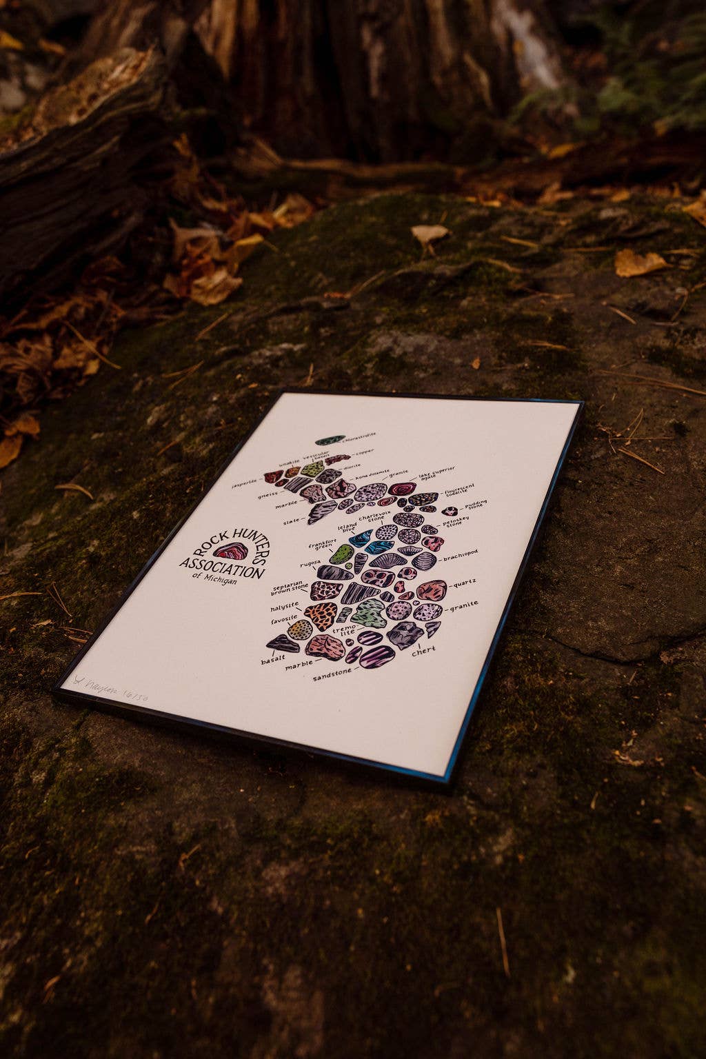 Home Squirrel - Wholesale Art Print - Rock Hunters of Michigan Watercolor Print1