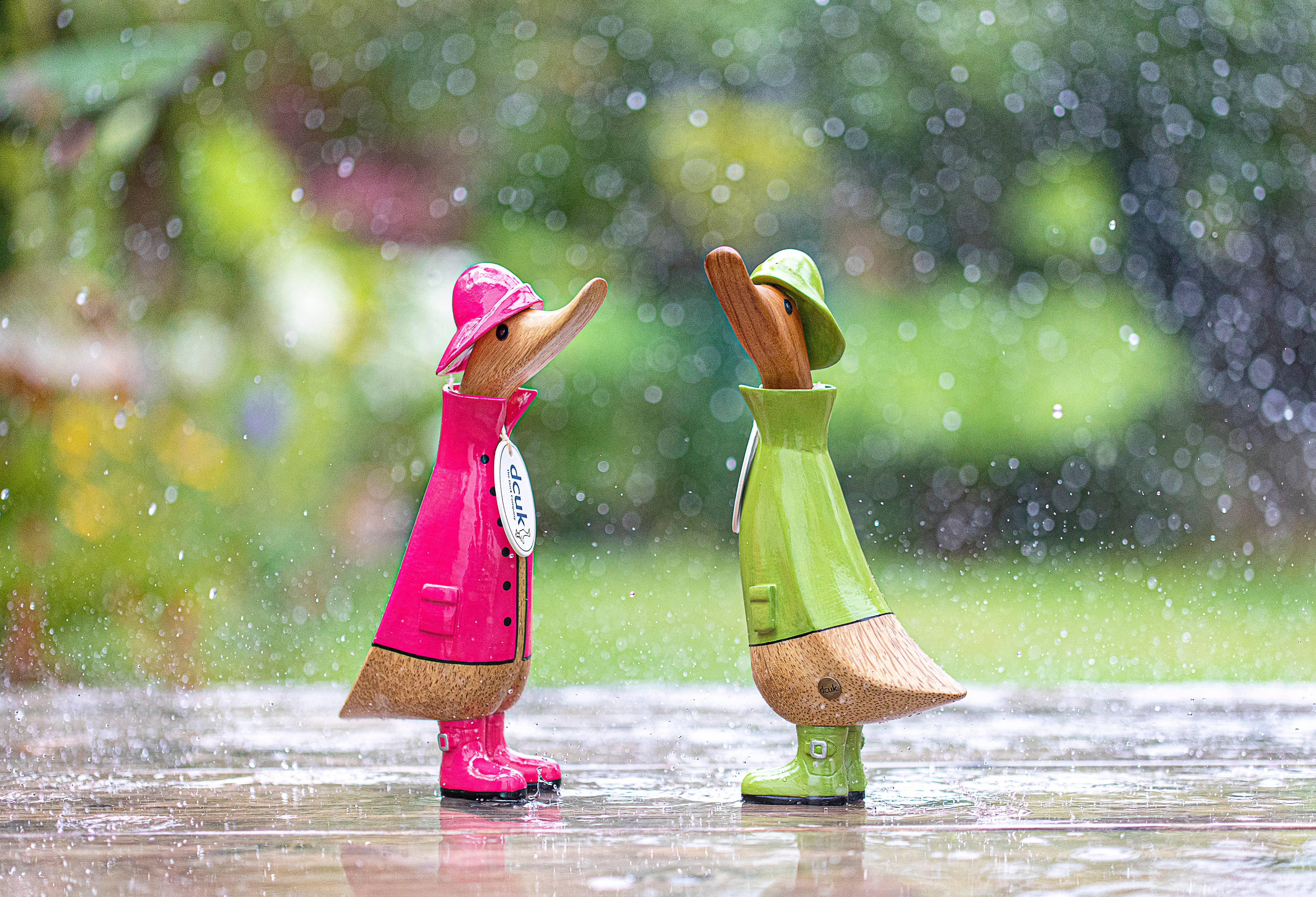 DCUK - Venta al por mayor Figura decorativa - Patitos DCUK en Día Lluvioso7