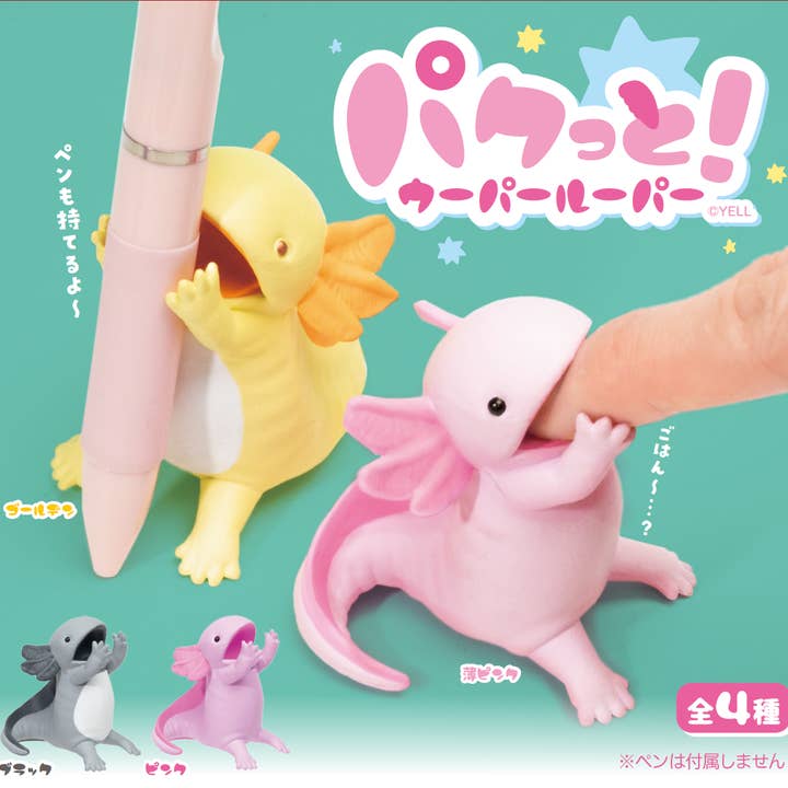 【BOÎTE MYSTÈRE JAPONAISE】PAKUTTO ! BOÎTE SURPRISE AXOLOTL pour la vente par Hakubundo