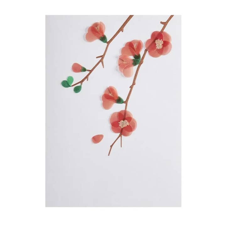 NIQUEA.D - Wholesale Everyday Greeting Card - Vellum Quince Branches Blank Card1