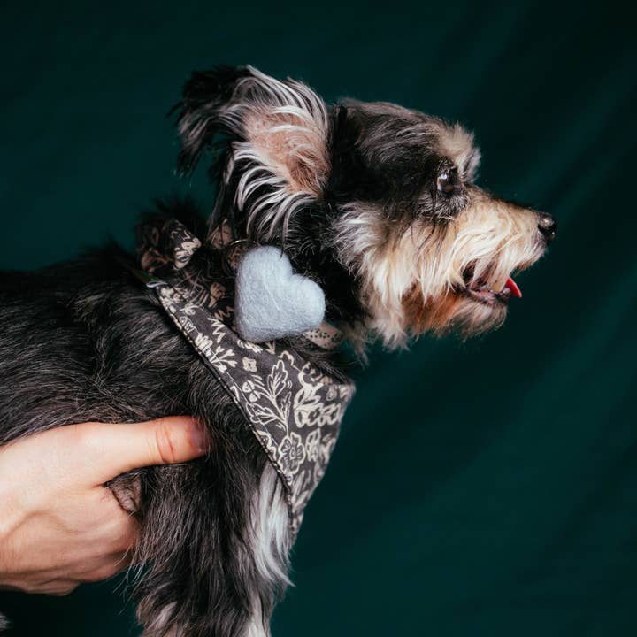 Mimi Green – coleira - Cão por atacado – Acessório de Coleira We Heart para Cães (Unidade) - 10 Cores3