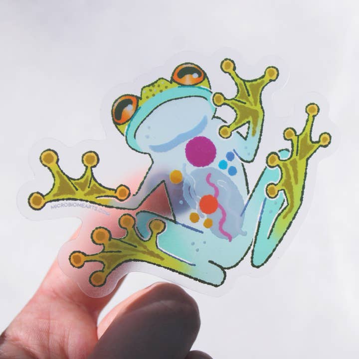 Autocollant Grenouille de Verre Transparente 3” pour la vente par Microbiome Arts