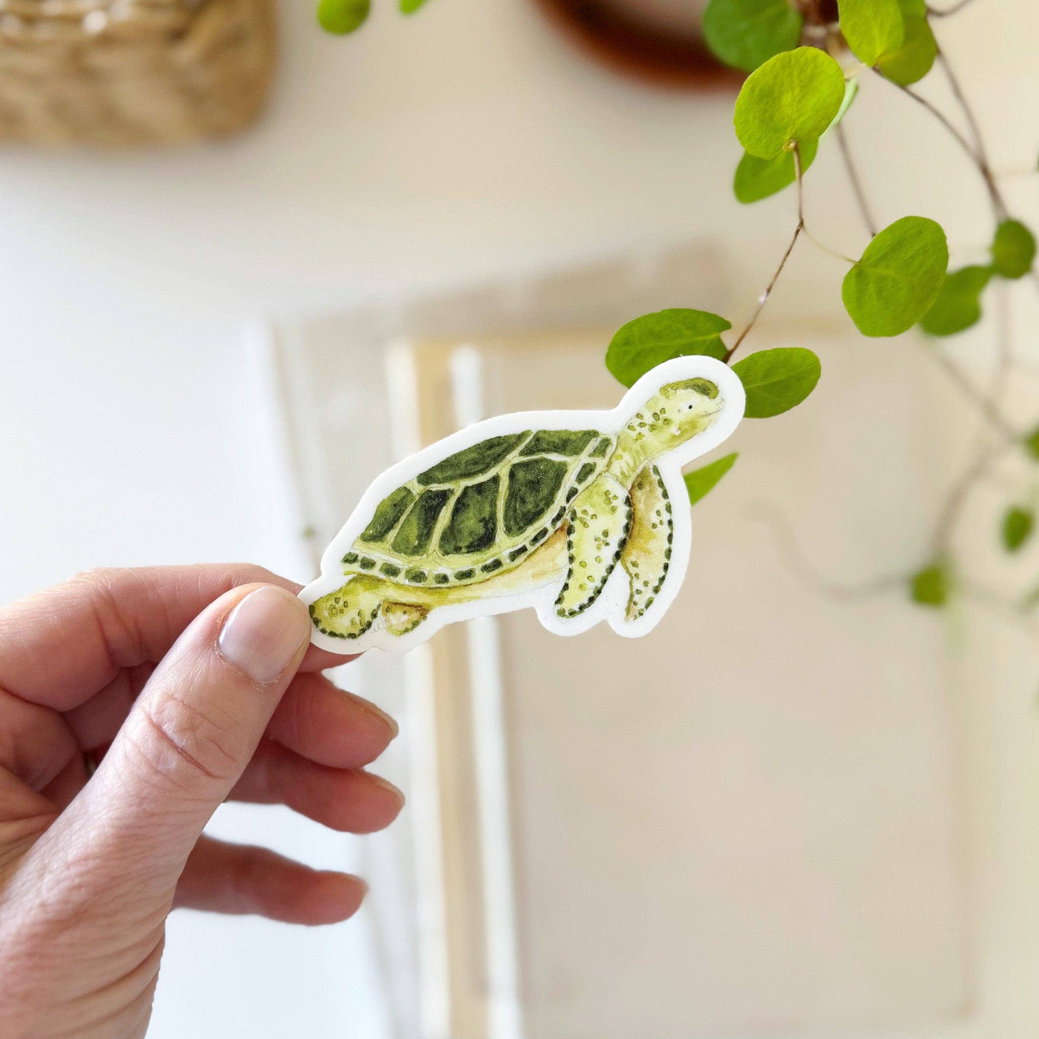emily lex studio - Wholesale Sticker - sea turtle sticker