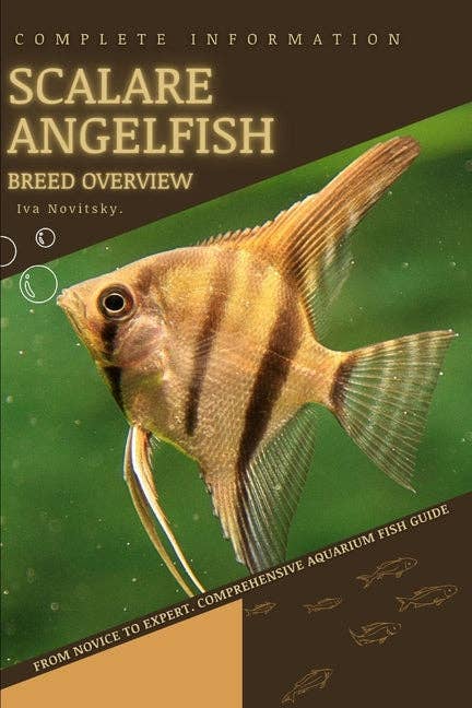Books by splitShops - Wholesale Pet  Book - Scalare Angelfish: From Novice to Expert. Comprehensive Aquarium Fish Guide - Paperback0