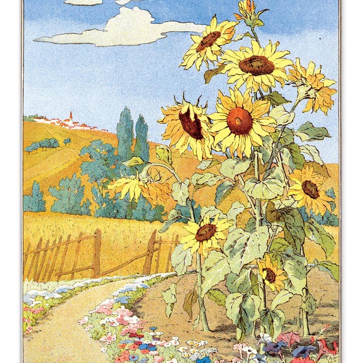 Laughing Elephant – Großhandel Postkarten-Set – Sonnenblumen-Postkartenbox — Postkarten für den täglichen Gebrauch in Schachtel11