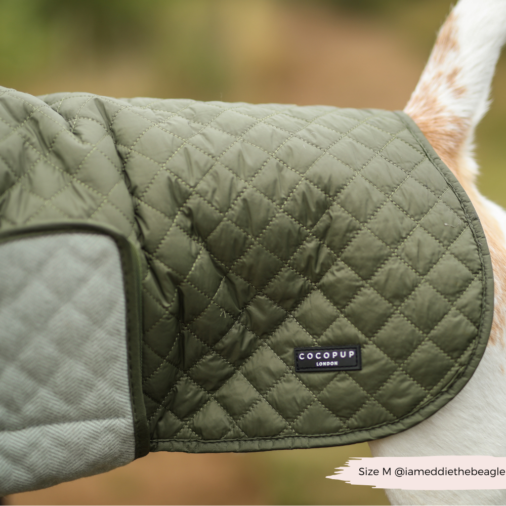 Cocopup London - Wholesale Pet Coat - Dog - LUXE Quilted Dog Coat - Country Khaki10